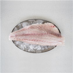 Gold Band Snapper Fillet Skin Off